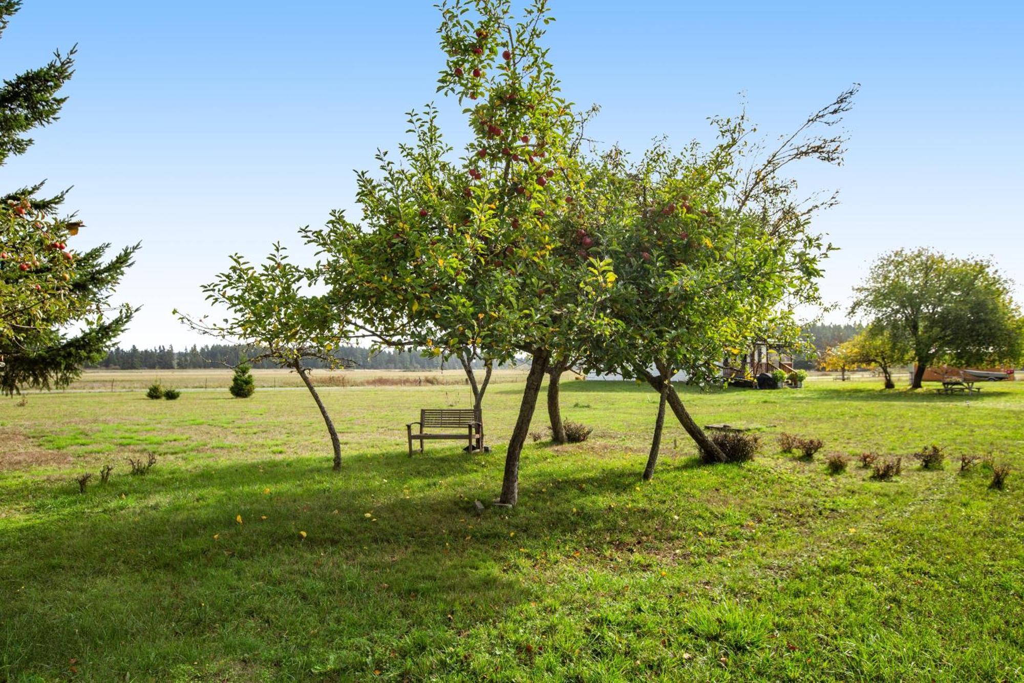 Historic Officer'S Farmhouse At Olf Coupeville Exteriér fotografie