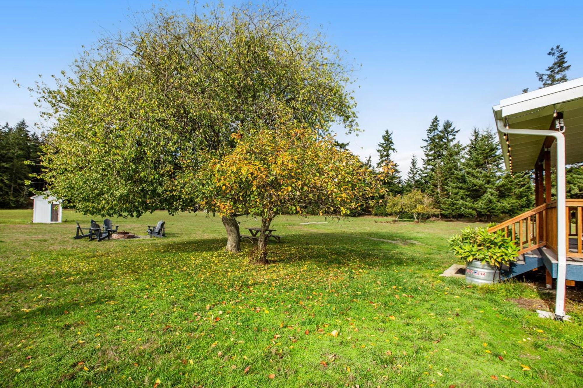 Historic Officer'S Farmhouse At Olf Coupeville Exteriér fotografie